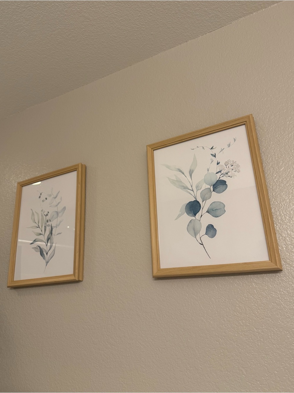Set of 2 Botanical Wall Art Prints in Light Wood Frames - Blue Green Eucalyptus